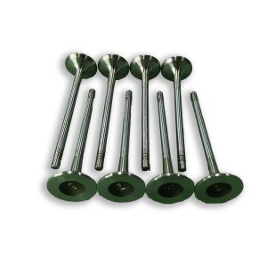 سوپاپ دود T8 AQBP